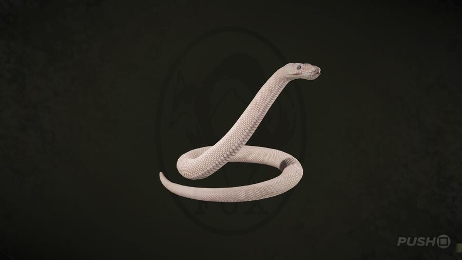 Snake Solidus in Metal Gear Solid Delta Snake Eater