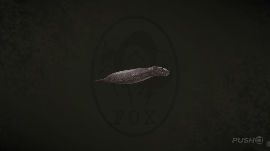 Tsuchinoko in Metal Gear Solid Delta Snake Eater