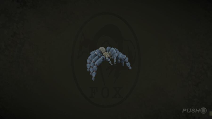 Cobalt Blue Tarantula in Metal Gear Solid Delta Snake Eater