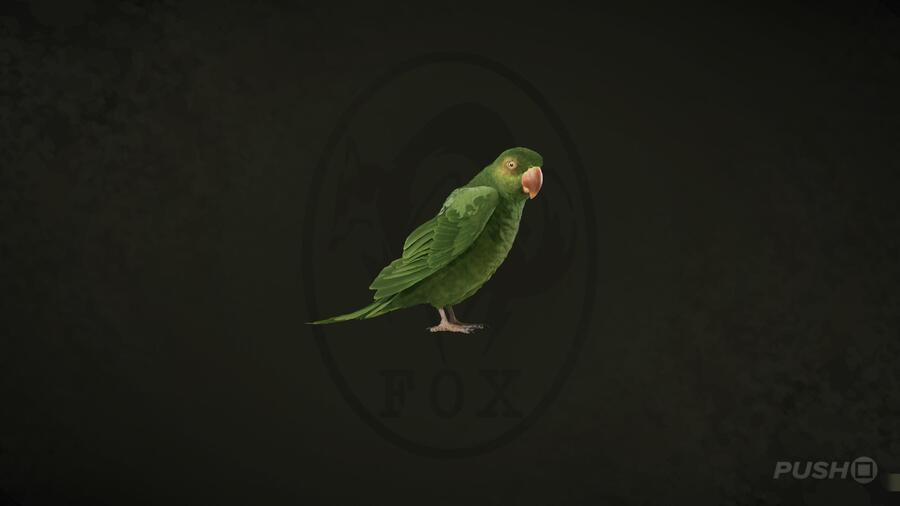 Parrot  in Metal Gear Solid Delta Snake Eater