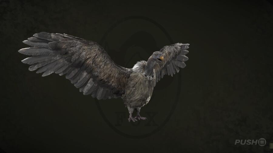 White-Rumped Vulture in Metal Gear Solid Delta Snake Eater