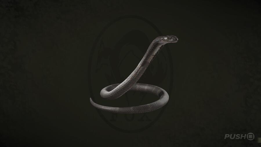 King Cobra in Metal Gear Solid Delta