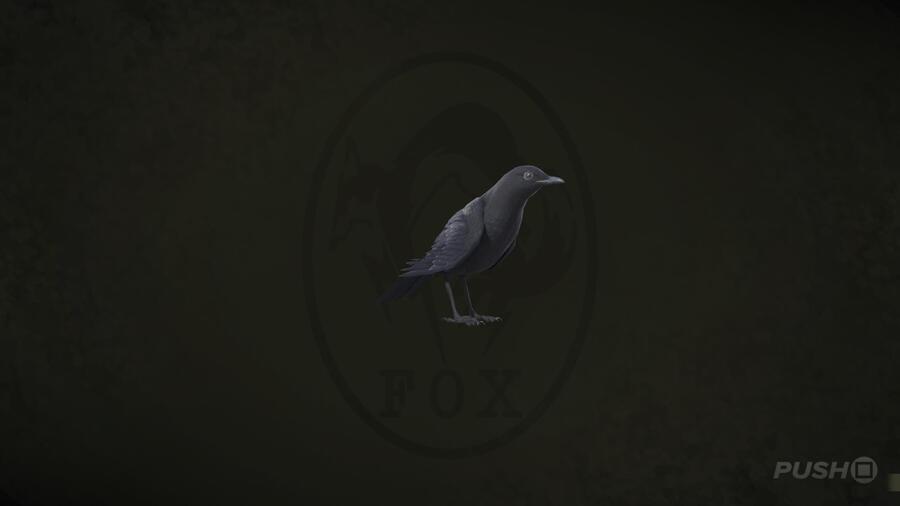 SND Whistling-Thrush in Metal Gear Solid Delta Snake Eater