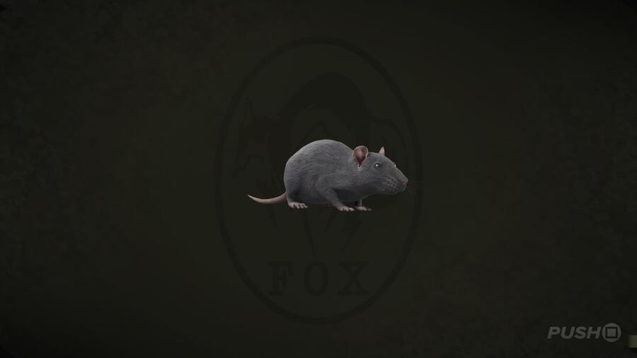 Rat in Metal Gear Solid Delta Snake Eater