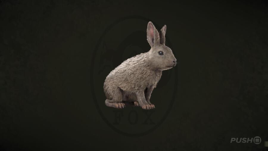 European Rabbit  in Metal Gear Solid Delta Snake Eater