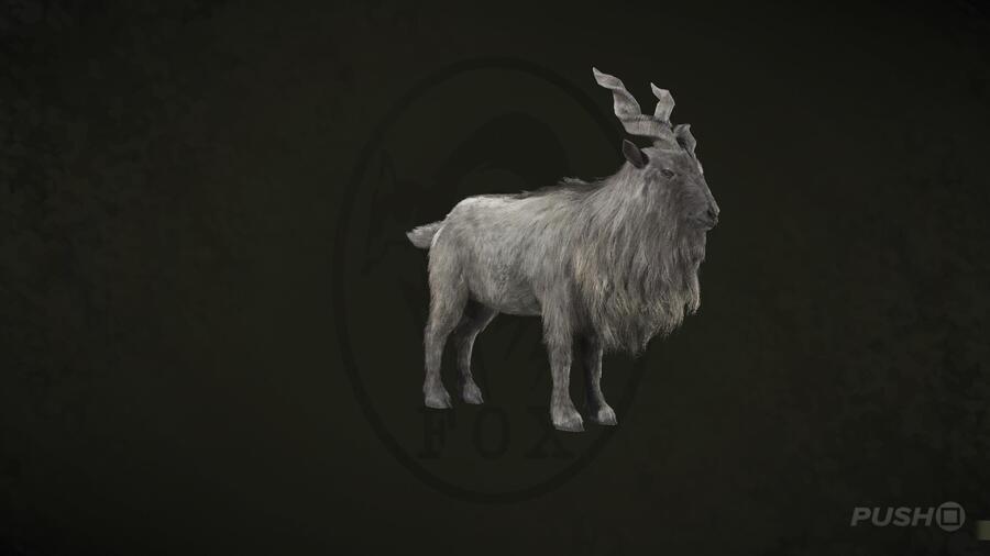 Markhor in Metal Gear Solid Delta Snake Eater