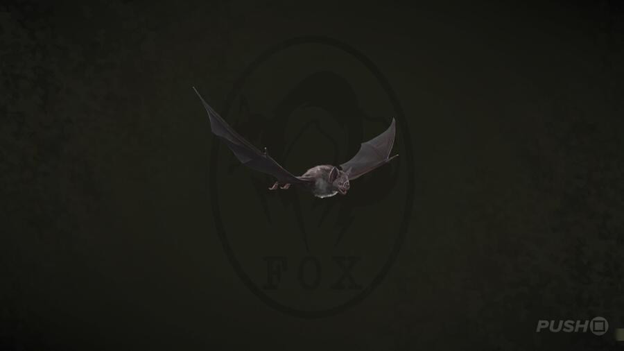 Vampire Bat in Metal Gear Solid Delta Snake Eater