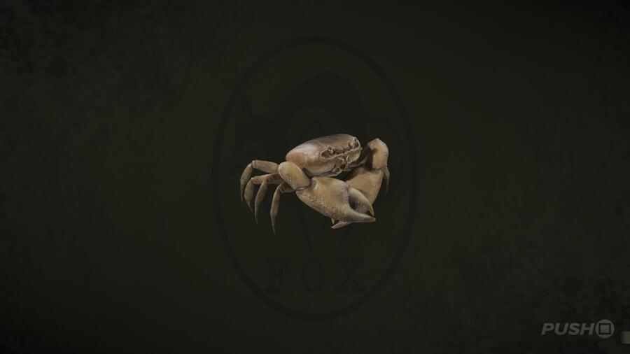 Kenyan Mangrove Crab in Metal Gear Solid Delta Snake Eater