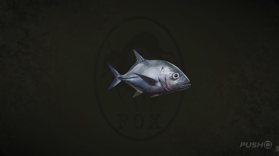 Bigeye Trevally in Metal Gear Solid Delta Snake Eater