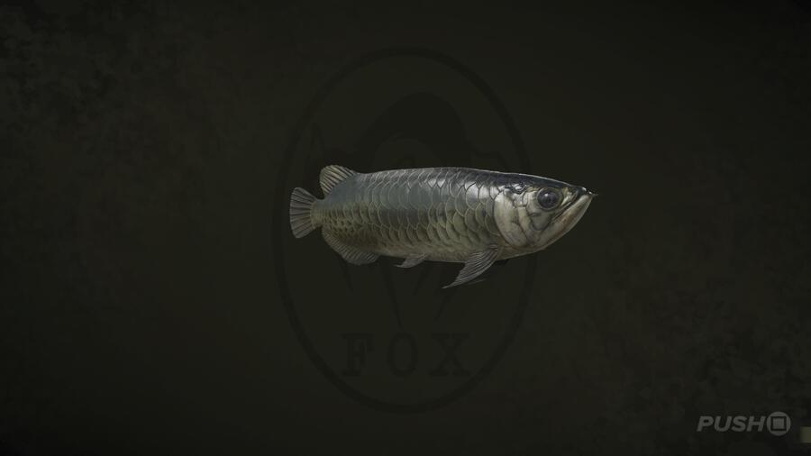 Arowana in Metal Gear Solid Delta Snake Eater