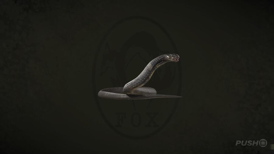 Taiwanese Cobra in Metal Gear Solid Delta