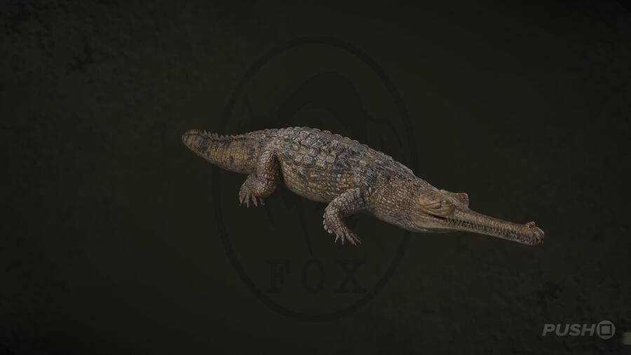 Indian Gavial in Metal Gear Solid Delta Snake Eater