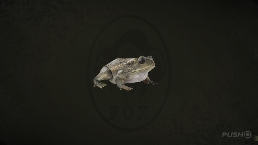 Otton Frog in Metal Gear Solid Delta Snake Eater