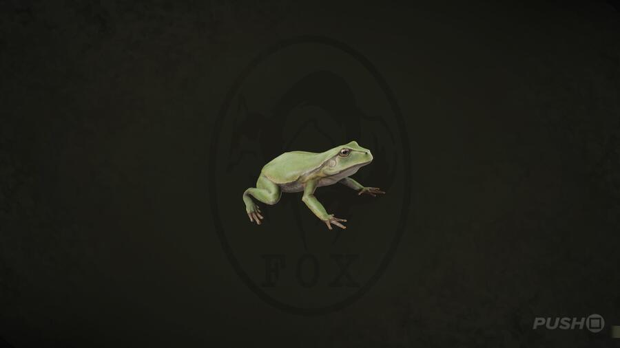 Tree Frog  in Metal Gear Solid Delta Snake Eater