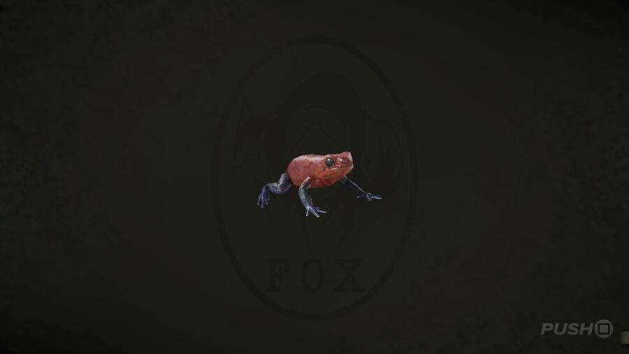 Poison Dart Frog in Metal Gear Solid Delta Snake Eater