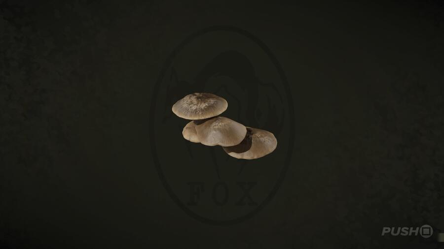 Russian Oyster Mshrm in Metal Gear Solid Delta Snake Eater