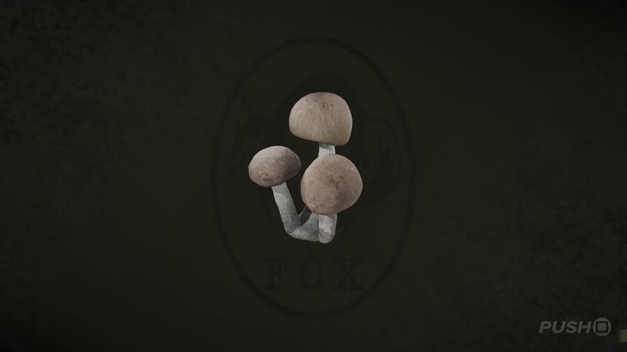Siberian Inkcap in Metal Gear Solid Delta Snake Eater