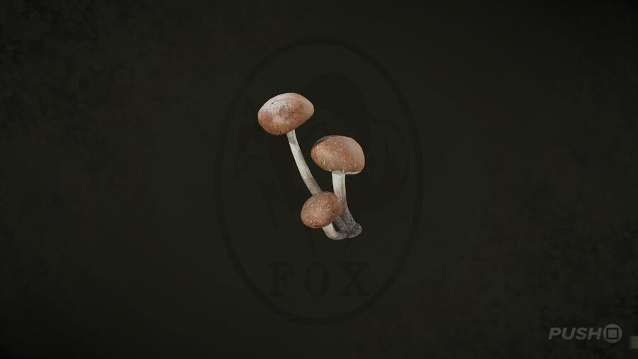 Fly Agaric in Metal Gear Solid Delta Snake Eater