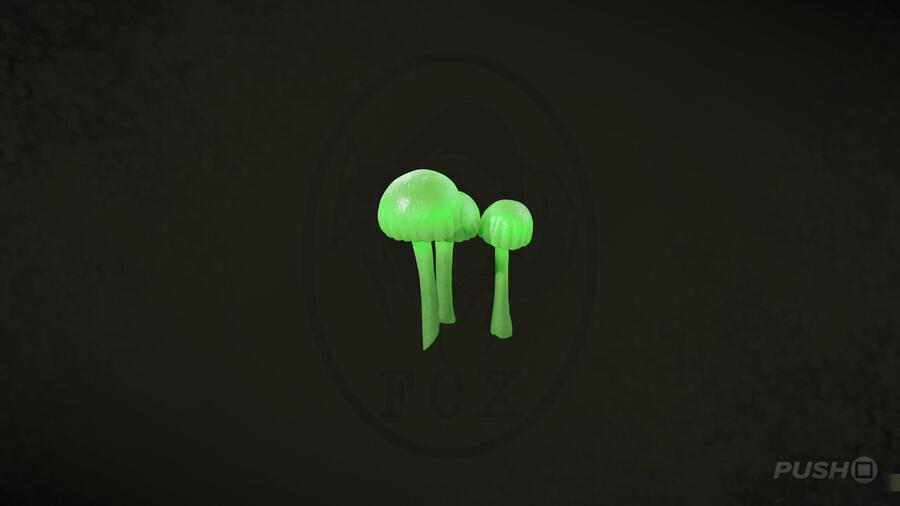 Russian Glowcap in Metal Gear Solid Delta Snake Eater