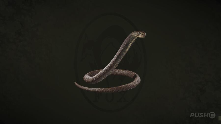 Thai Cobra in Metal Gear Solid Delta