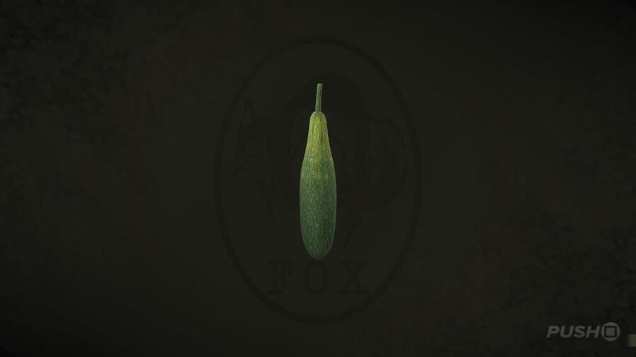 Vine Melon in Metal Gear Solid Delta Snake Eater