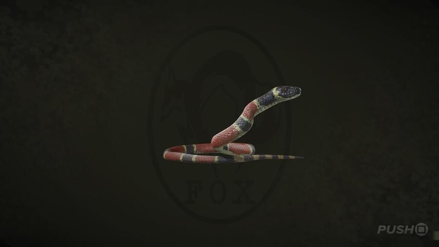 Coral Snake in Metal Gear Solid Delta