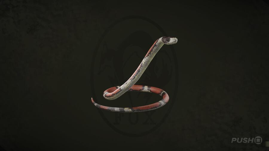 Milk Snake in Metal Gear Solid Delta