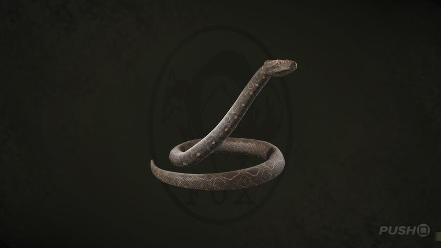 Giant Anaconda in Metal Gear Solid Delta